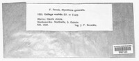 Image Associated With the Occurence